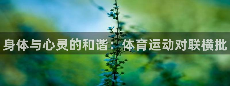 哈希娱乐体育