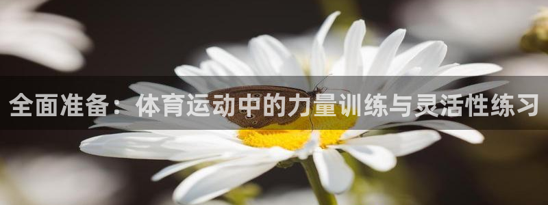 哈希娱乐体育3