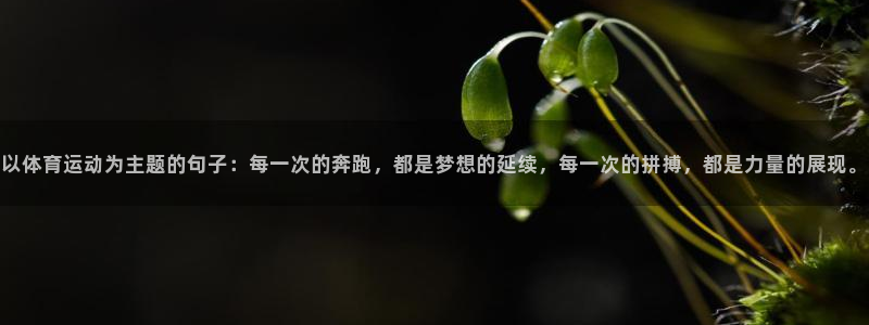 哈希娱乐3平台注册