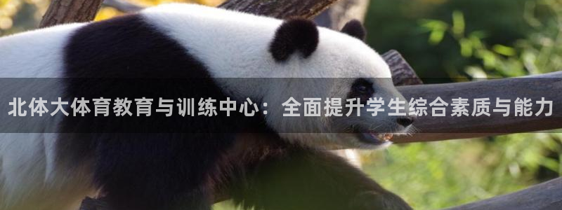 哈希娱乐2平台注册