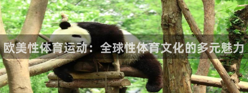 哈希娱乐