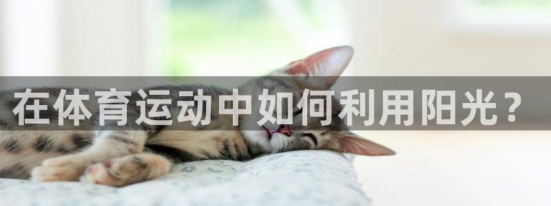 意昂是什么品牌