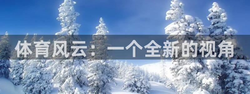 哈希娱乐体育4