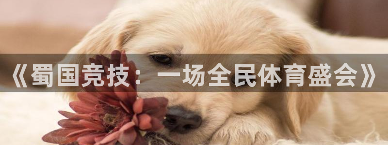 哈希娱乐体育4