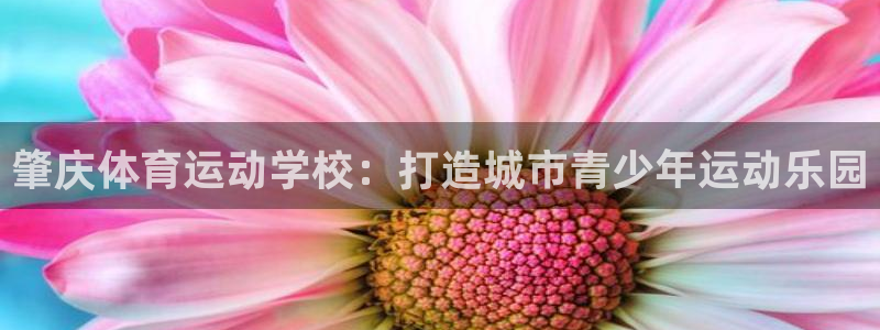 哈希娱乐体育平台开号链接