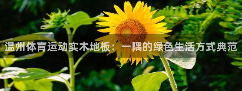 哈希娱乐4