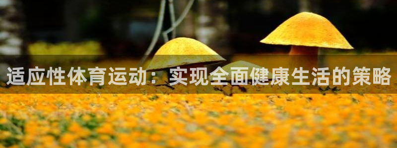 哈希娱乐平台注册入口