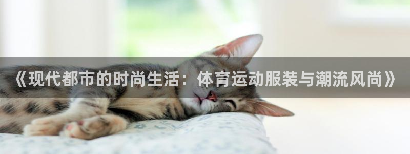 哈希娱乐体育网页版入口