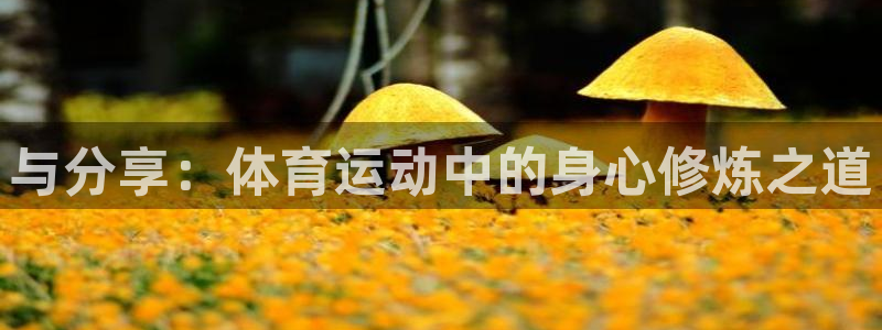 哈希娱乐2注册