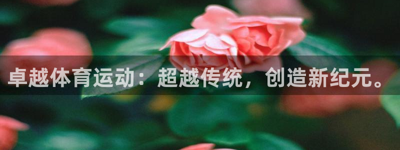 哈希娱乐集团股票