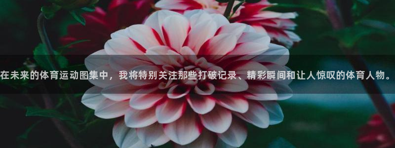 哈希娱乐3平台注册