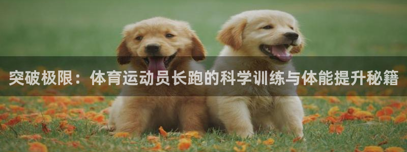 意昂官网