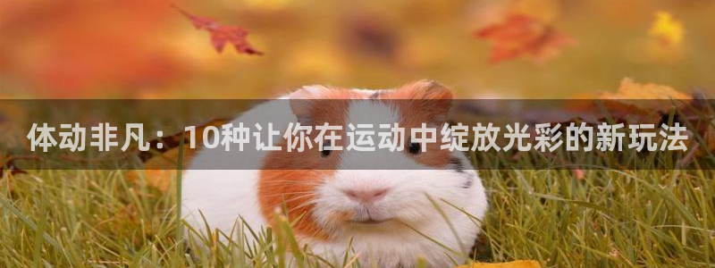 意昂官网