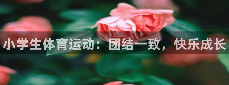 意昂4注册