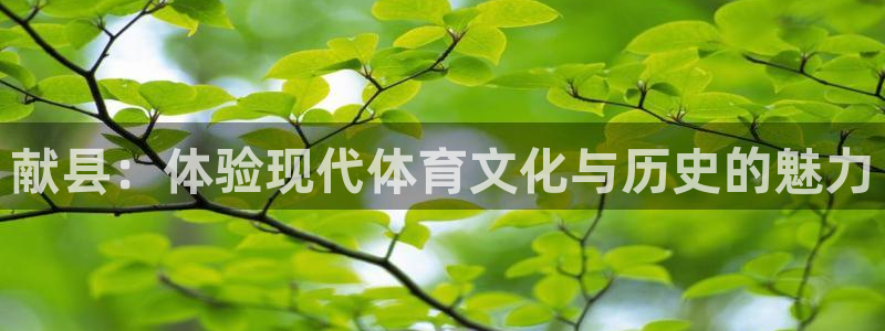 哈希娱乐2代理注册
