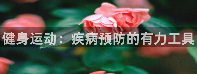 哈希娱乐体育凯捷平台招商