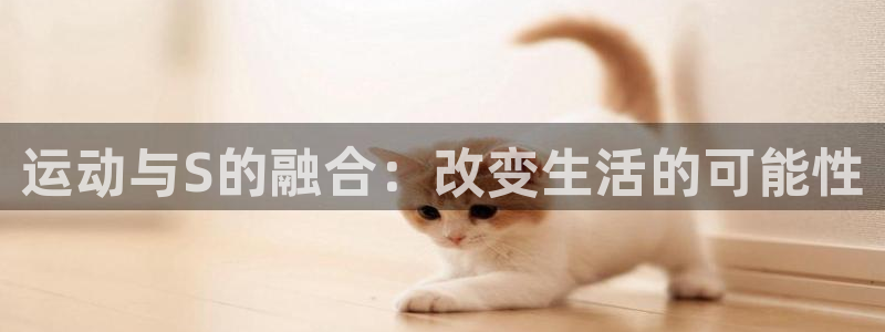 哈希娱乐体育用品