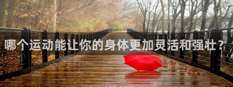 哈希娱乐体育代理