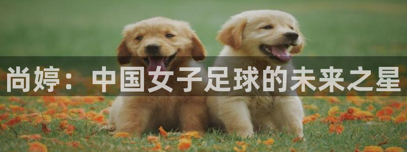 意昂