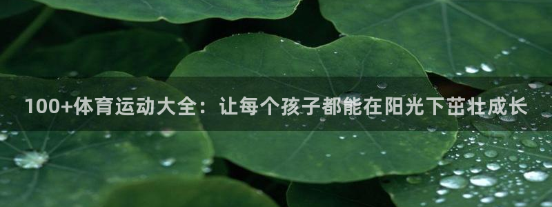哈希娱乐5招商