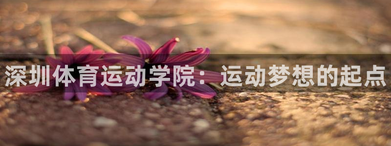 哈希娱乐登录